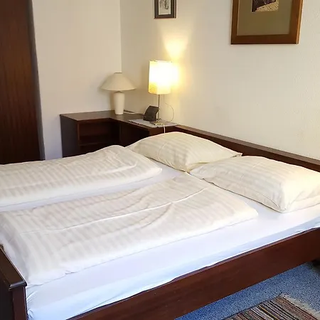 Zum Gruenen Baum Inn 3*