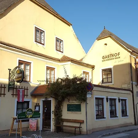 Zum Gruenen Baum Inn