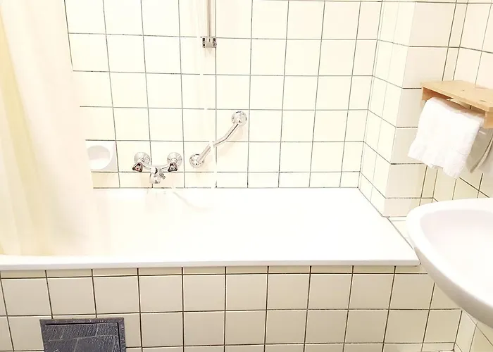 Gasthof Zum Gruenen Baum Mautern an der Donau