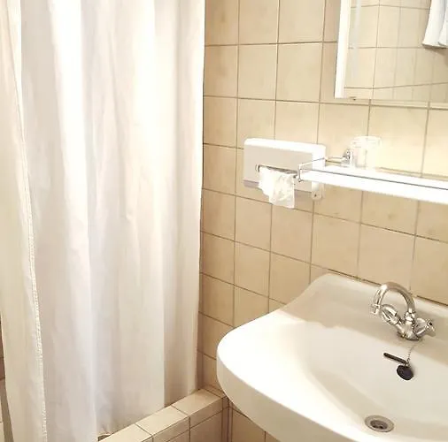 Zum Gruenen Baum Mautern an der Donau