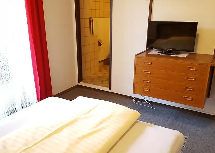 Zum Gruenen Baum 3* Mautern an der Donau