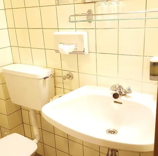 Zum Gruenen Baum 3* Mautern an der Donau