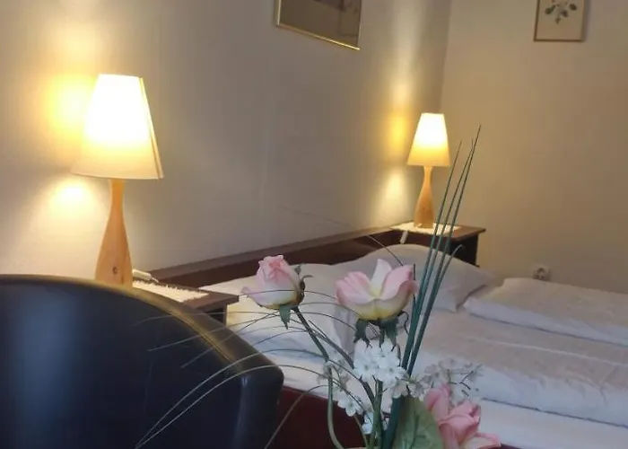 Zum Gruenen Baum 3* Mautern an der Donau